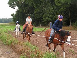 Möglichkeit zum Reitunterricht Möglichkeit zum Reitunterricht