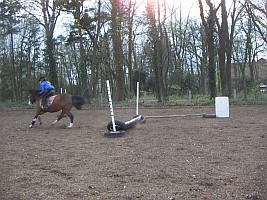 Möglichkeit zum Reitunterricht Möglichkeit zum Reitunterricht